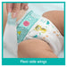 Pampers BD Carry Pack Junior - Intamarque 4015400542940