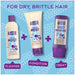 Aussie Shampoo 300ml Miracle Moist - Intamarque 5410076390830
