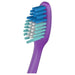 Colgate Toothbrush Extra Clean 12s - Intamarque 8714789162546